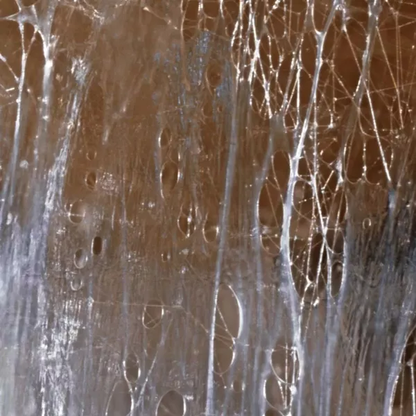 Les fascias  : un pont avec la régulation émotionnelle TIPI