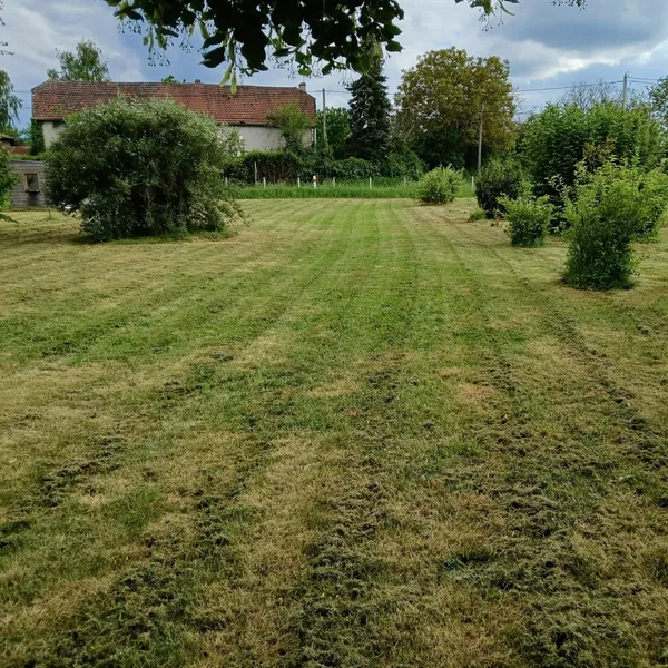Tonte de pelouse 5000m2 à clion sur indre
