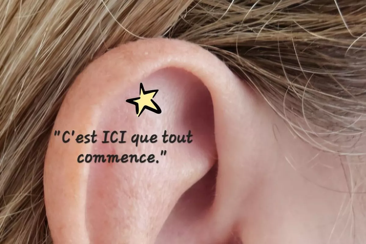 Auriculautherapie Laser Découverte