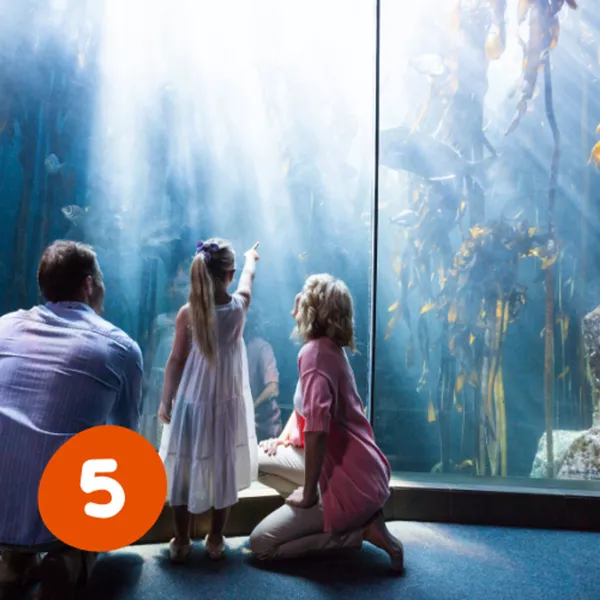 5. Services voyageurs – avec notre Pack Voyageurs