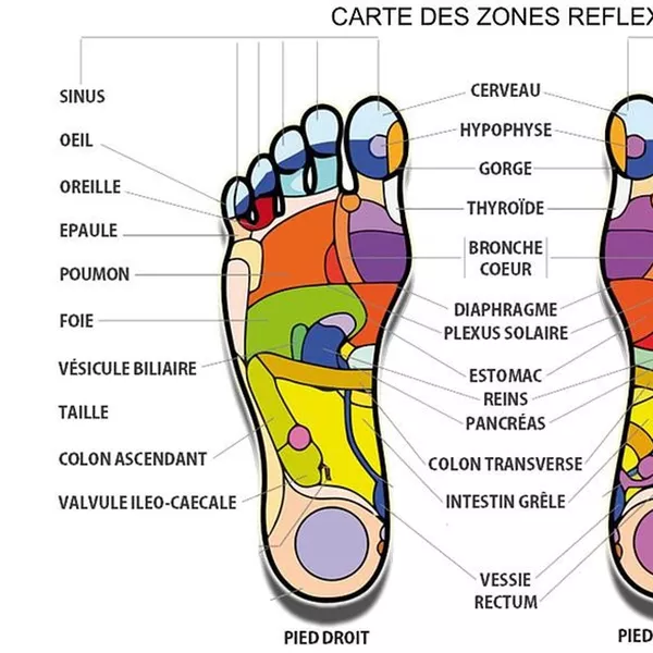tout savoir sur la réflexologie plantaire