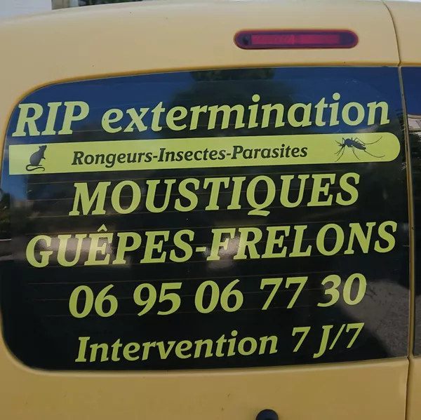 Traitement moustiques à Antibes