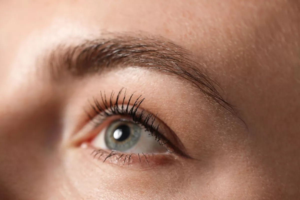 Épilation sourcils (entretien 1 / mois)