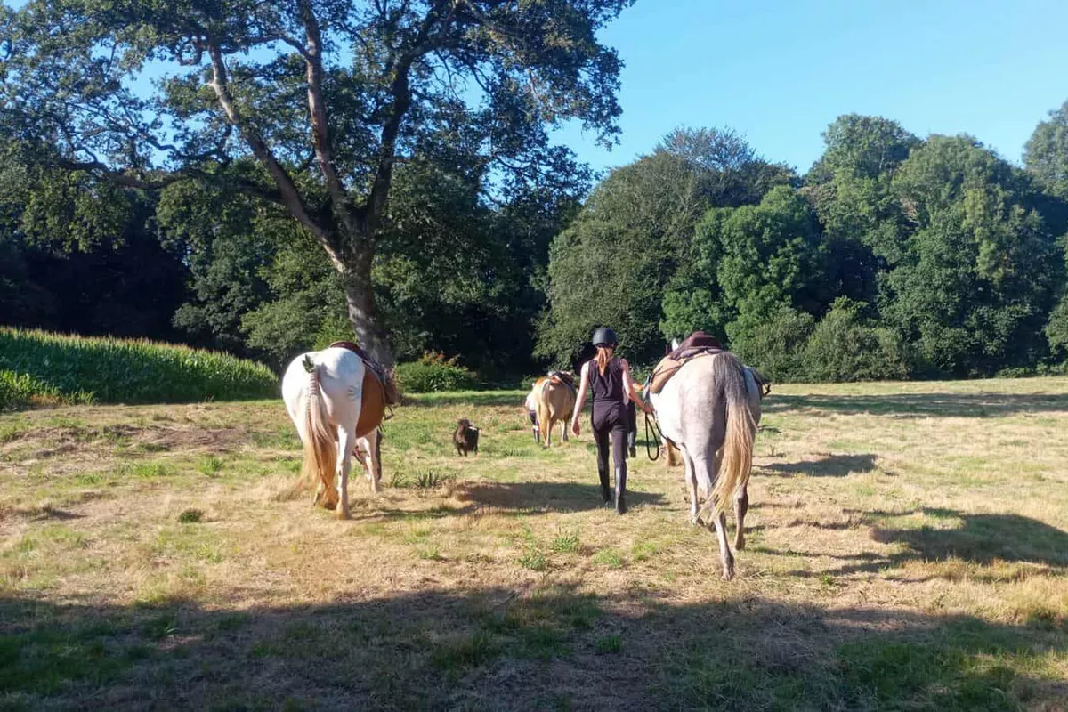 équitation adaptée Langolen