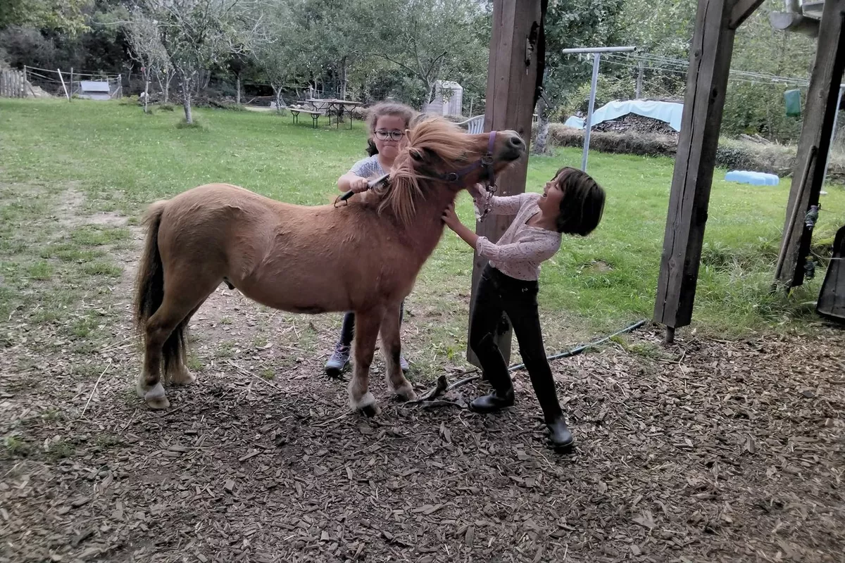 hypersensibilité Langolen