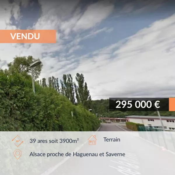 A vendre grand terrain constructible et divisible en Alsace proche de Haguenau et Saverne