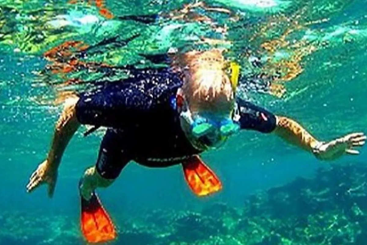 Randonnée Palmée / Snorkeling à la côte (sans guide) - équipement compris Forfait de 2h