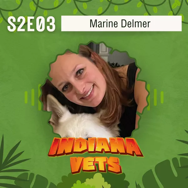 S02E03/ Interview de Marine Delmer, comment survivre au harcèlement moral en milieu professionnel ✊🏼