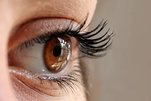 Réhaussement de cils + soin