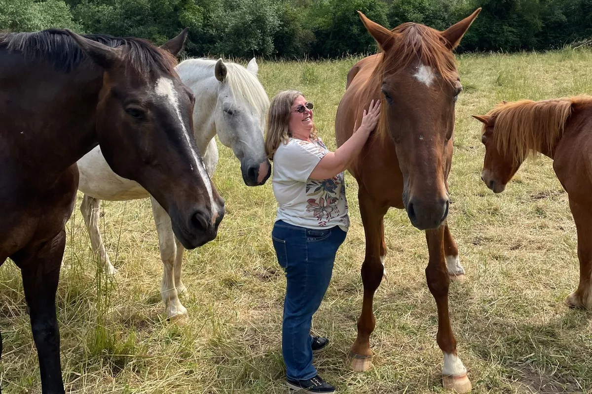 Formation de connexion animale sur 2 jours