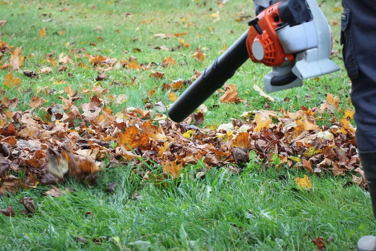 Entretien des espaces extérieurs