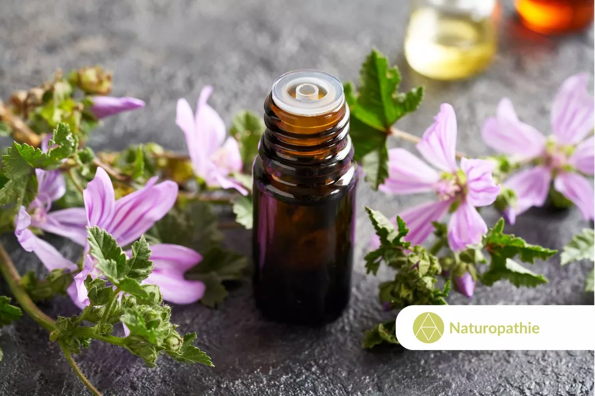 Naturopathe Paris