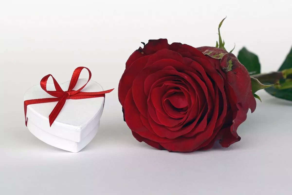 Offrir un bon cadeau