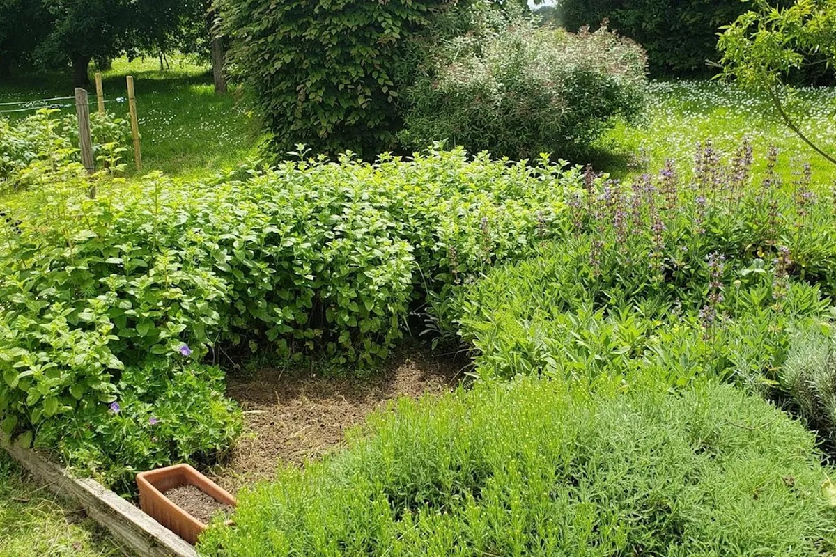 Jardinier paysagiste Clion