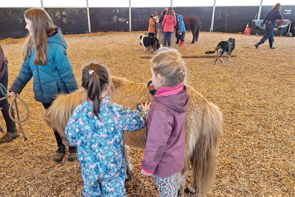 Anniversaire à la ferme
