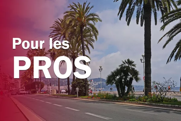 VTC pour les Professionnels
