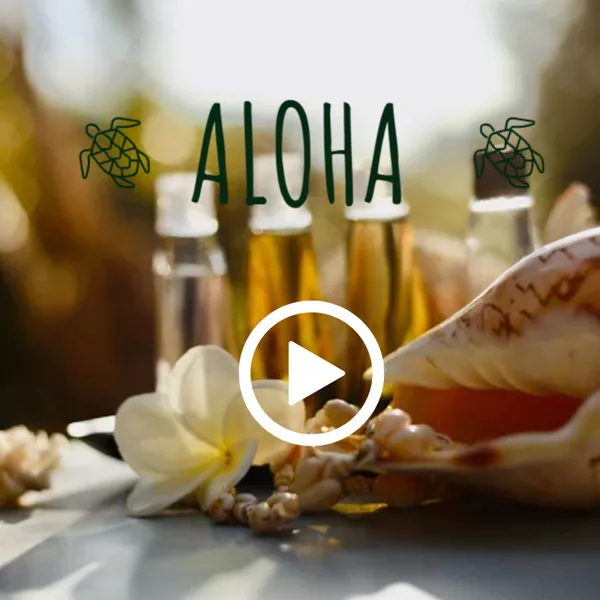 Avant de lire, vivez l'expérience Kahuna à travers cette vidéo...