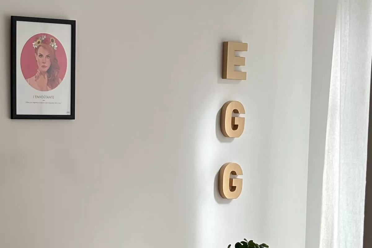FORFAIT ACCOMPAGNEMENT PMA CHEZ EGG CENTER