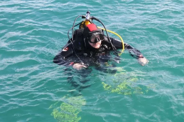 Plongée sous-marine - plongeur interne (licencié chez nous)