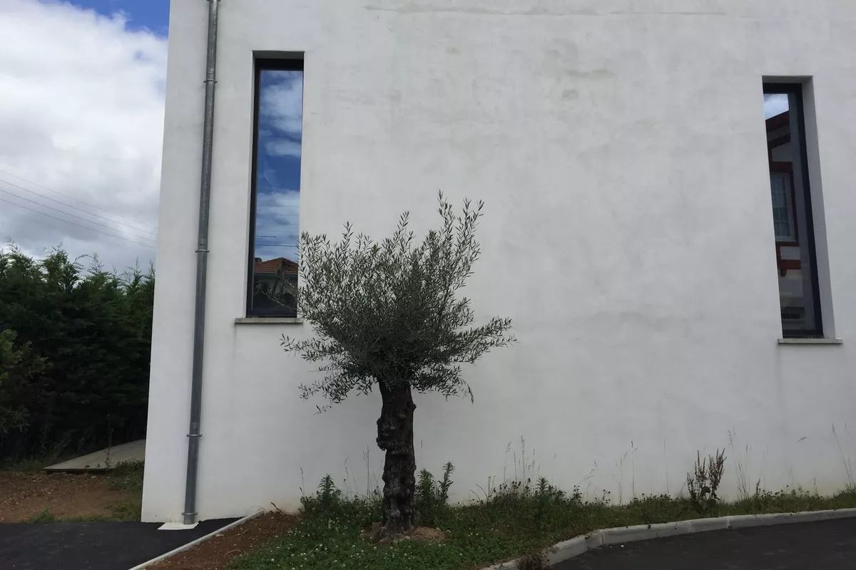 mise aux normes électrique Biarritz