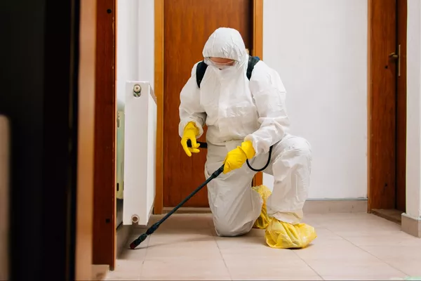 Désinfection des logements vacants