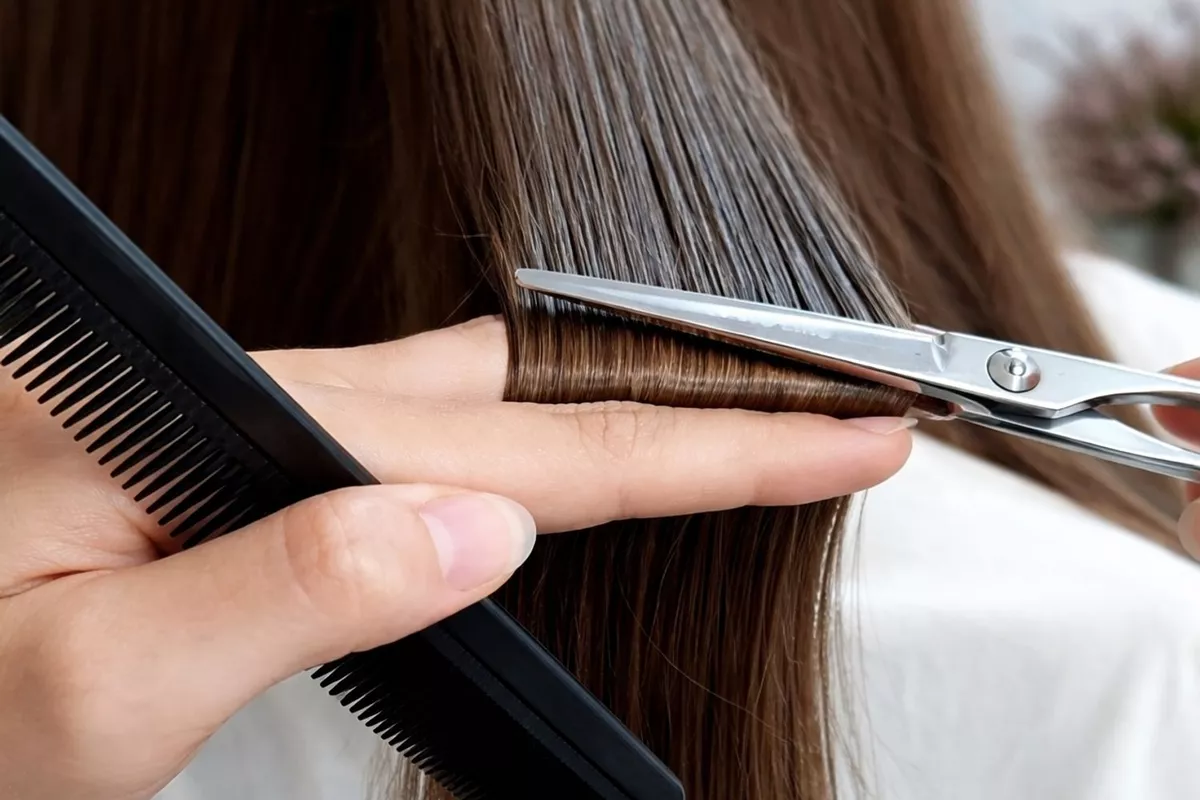 Coupe au choix cheveux longs / très longs (pointes ou frange ou dégradé + brushing , shampoing et finition brillance )