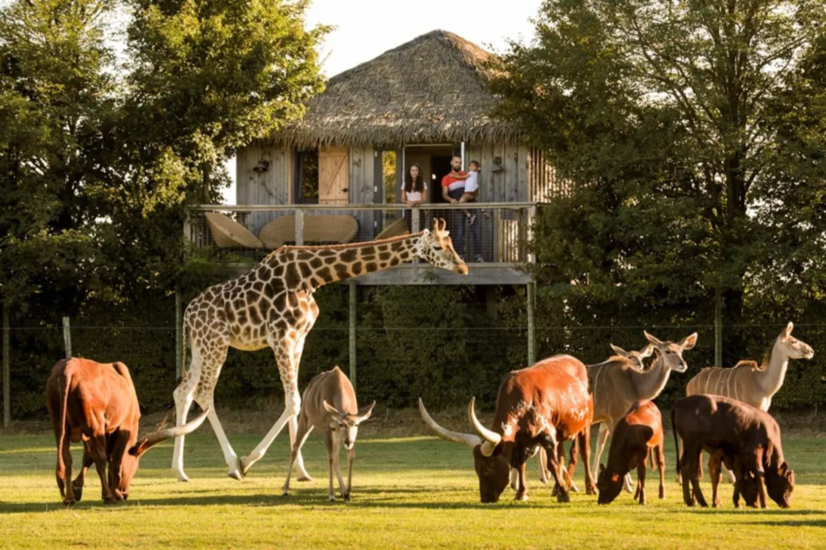 Excursions Animalières – Planète Sauvage & Zoo de la Boissière