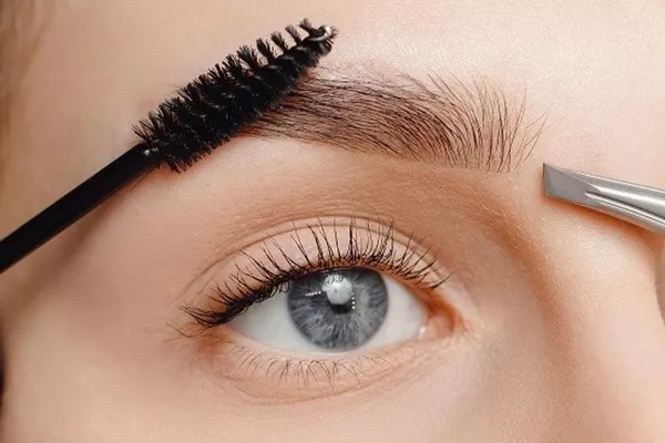 Sourcils