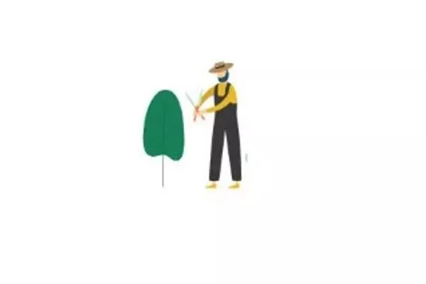 Appel devis : Élagage et abattage d’arbres 🌲