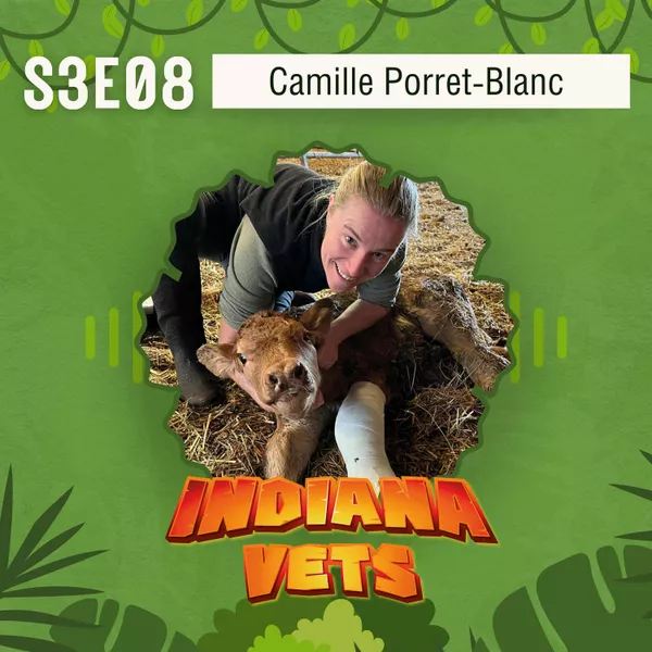 S03E08/ Interview de Camille Porret-Blanc: de salariée à dirigeante vétérinaire, des clés pour un management sincère et humain