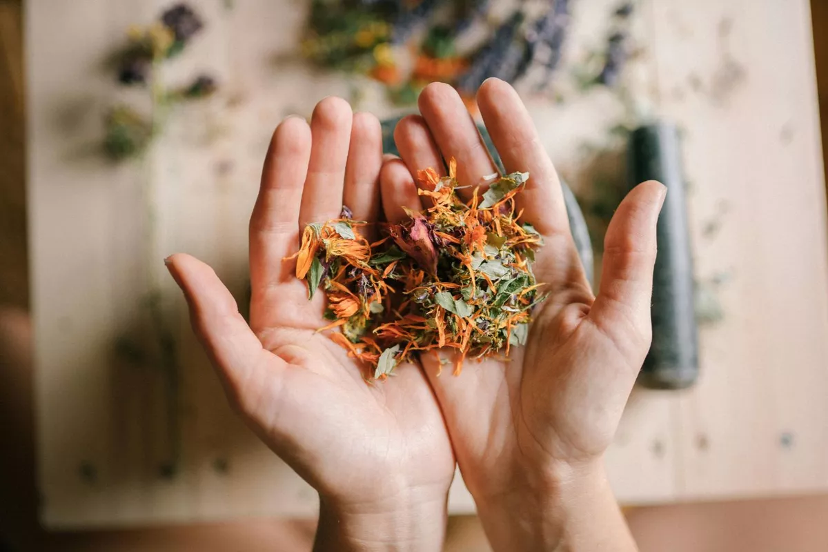 Consultation de suivi en naturopathie