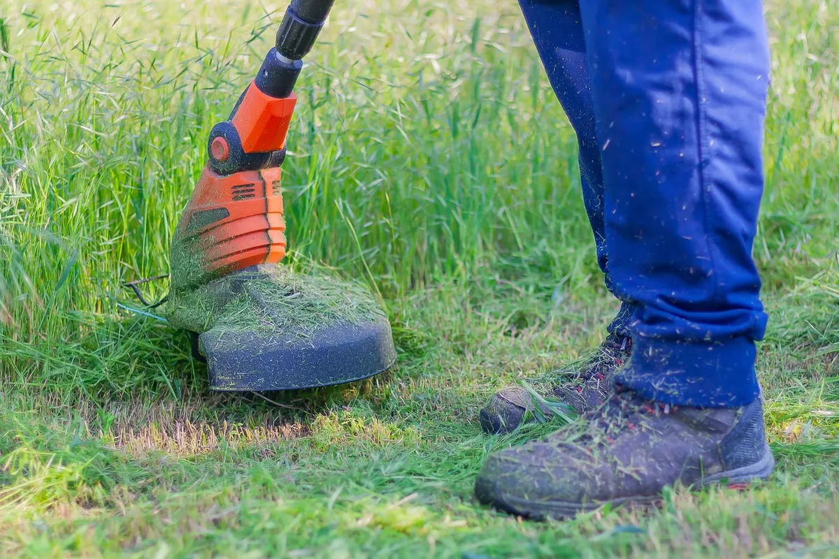 Entretien des espaces verts