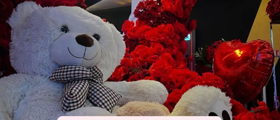 Demande en mariage romantique : un décor féerique pour un “oui” magique
