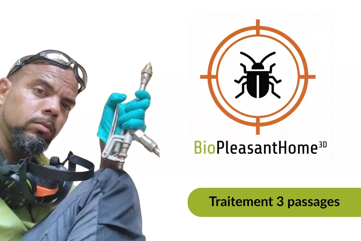 Traitement curatif ponctuel (3 passages) – dératisation, désinfection ou désinsectisation