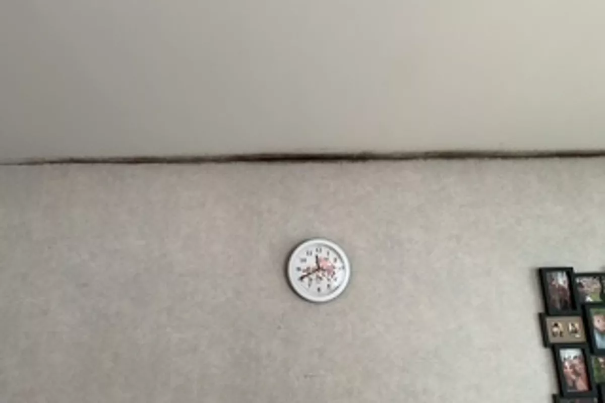 Petits travaux et entretien extérieur Vitré