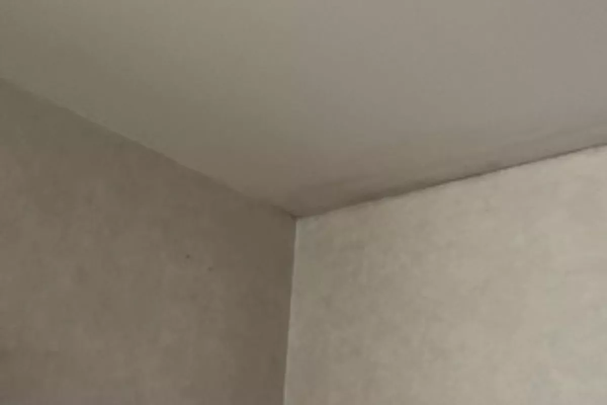 Petits travaux et entretien extérieur Vitré
