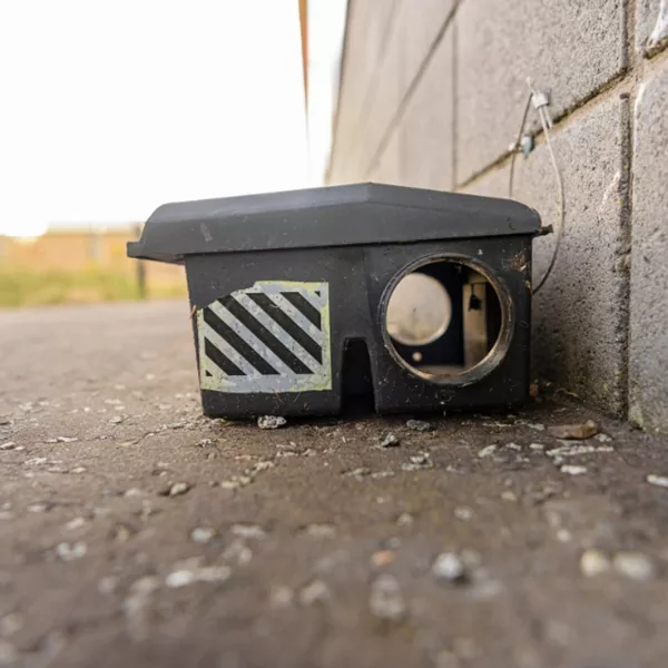 Dératisation d’immeuble à Cagnes-sur-Mer : solutions professionnelles pour un environnement sain