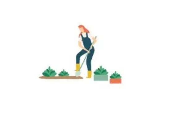 Appel devis : Aménagement paysager 🌼