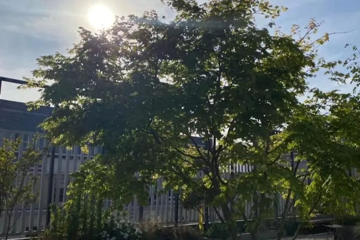 Psychopathologie Saint-Ouen-sur-Seine