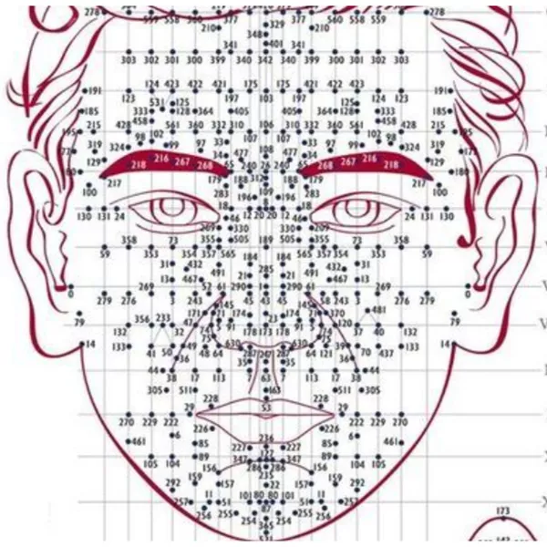 La Réflexologie Faciale Dien Chan : Découvrez les Bienfaits de cette Pratique Ancestrale