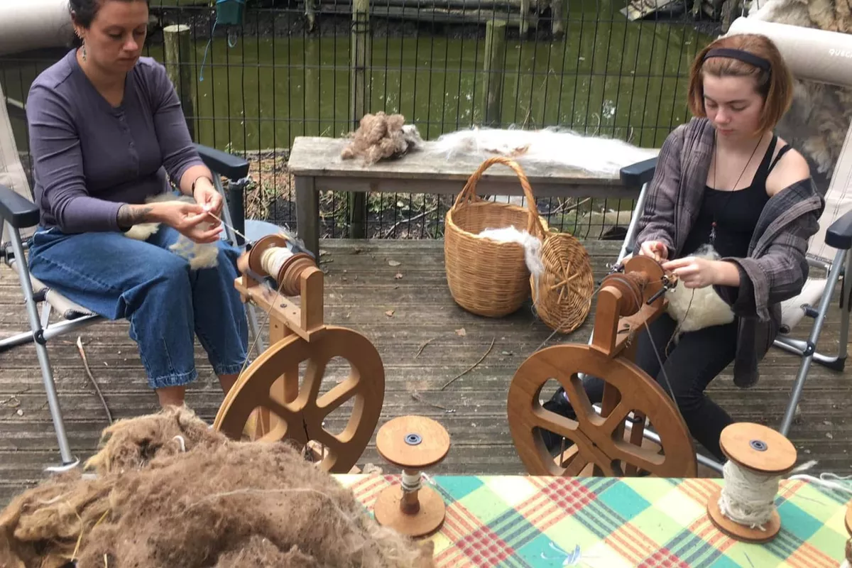 Atelier d'initiation au filage de laine au rouet 2 h